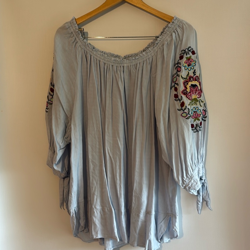 Blue peasant top with embroidered sleeves